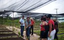 57 municipios cubanos incorporados a la agricultura suburbana